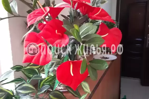 Квартира «-студия на Чкалова 11»