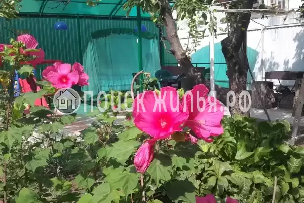 Дом под ключ «Дом под ключ»