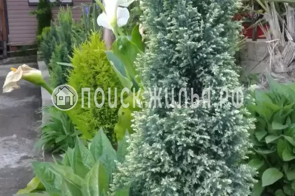 Дом под ключ «Вишня» Дом под ключ «Вишня»