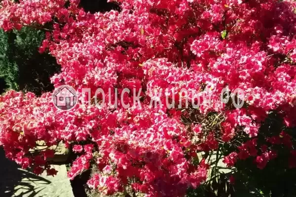 Дом под ключ «Вишня» Дом под ключ «Вишня»