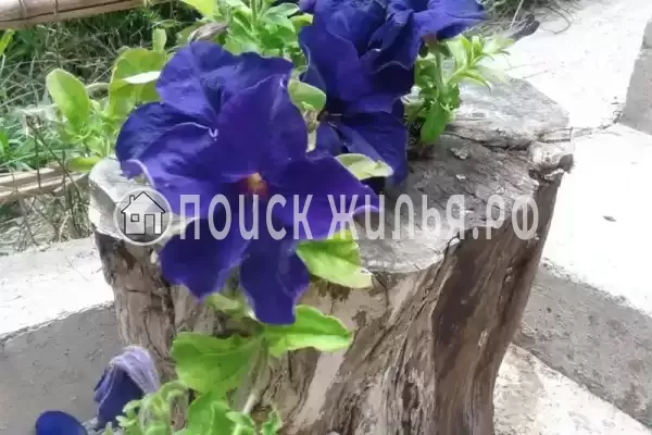 Дом под ключ «Вишня» Дом под ключ «Вишня»