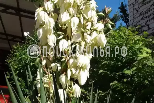 Дом под ключ «Вишня» Дом под ключ «Вишня»