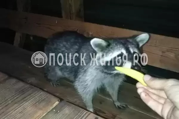 Дом под ключ «Вишня» Дом под ключ «Вишня»