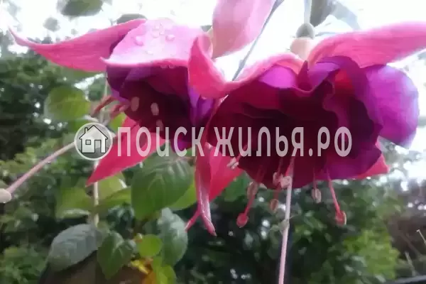 Дом под ключ «Вишня» Дом под ключ «Вишня»