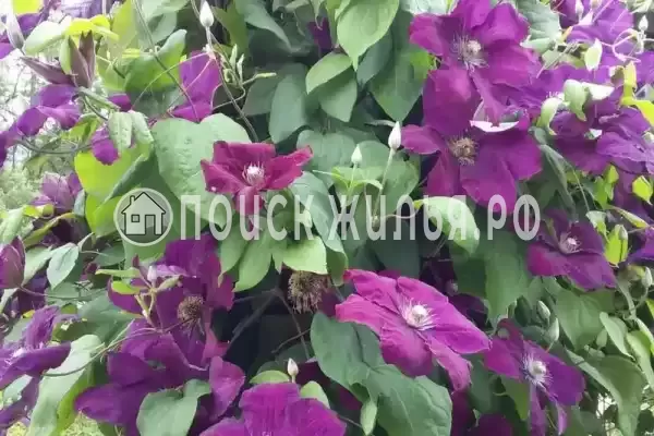 Дом под ключ «Вишня» Дом под ключ «Вишня»