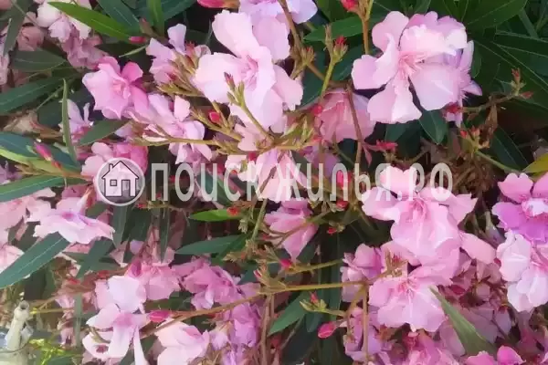 Дом под ключ «Вишня» Дом под ключ «Вишня»