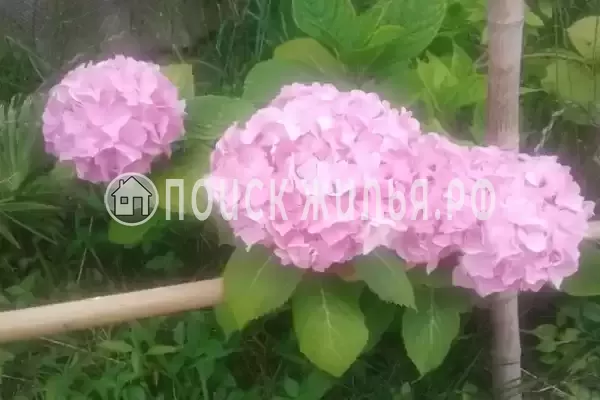 Дом под ключ «Вишня» Дом под ключ «Вишня»