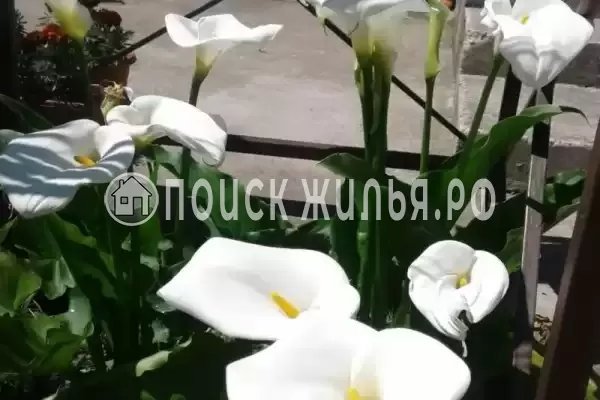 Дом под ключ «Вишня» Дом под ключ «Вишня»