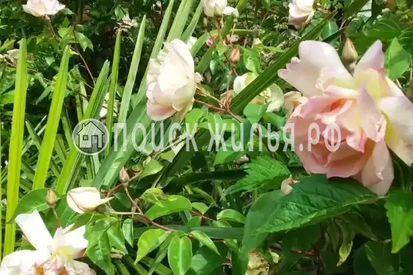 Дом под ключ «Вишня» Дом под ключ «Вишня»