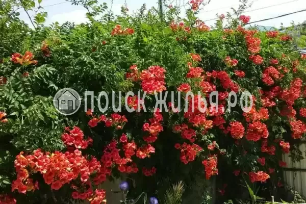 Дом под ключ «Вишня» Дом под ключ «Вишня»