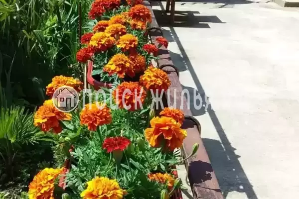 Дом под ключ «Вишня» Дом под ключ «Вишня»