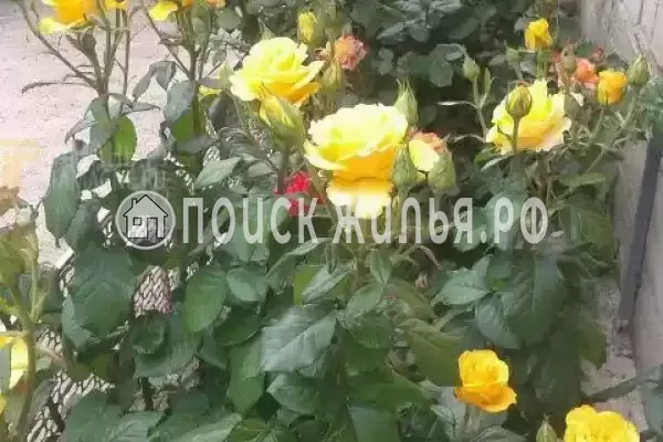 Дом под ключ «Радушный»