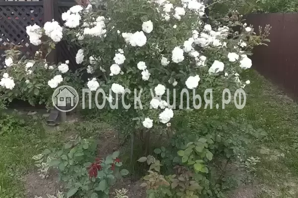 Дом под ключ «Дом под ключ» Дом под ключ «Дом под ключ»