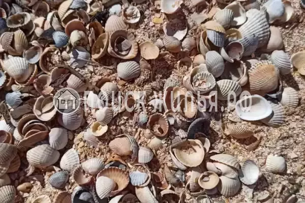 Дом под ключ «Фаворит»