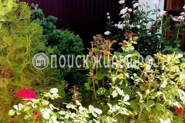 Частный сектор «Семейный Люкс»