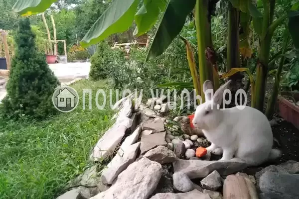 Дом под ключ «Каньон Псахо»