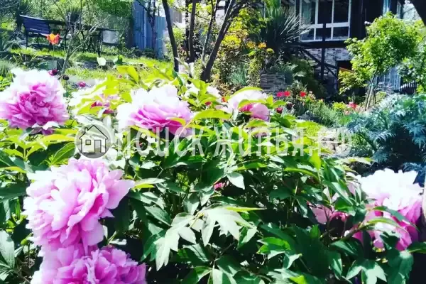 Дом под ключ «Каньон Псахо»