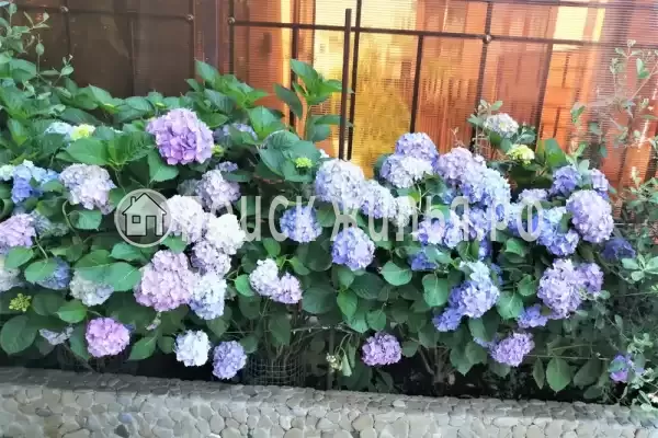 Апартаменты «Как дома» Апартаменты «Как дома»