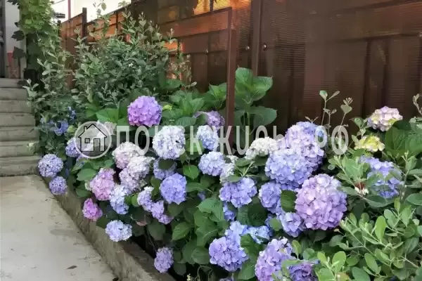 Апартаменты «Как дома» Апартаменты «Как дома»