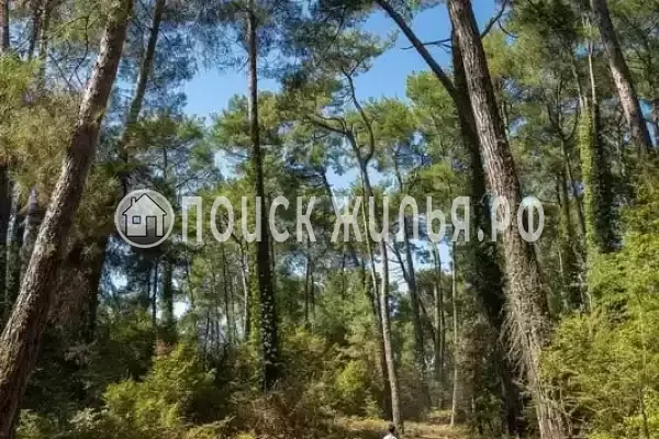 Апартаменты «Двухкомнатные апартаменты в центре» Апартаменты «Двухкомнатные апартаменты в центре»