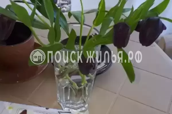 Частный сектор «У Лизы»