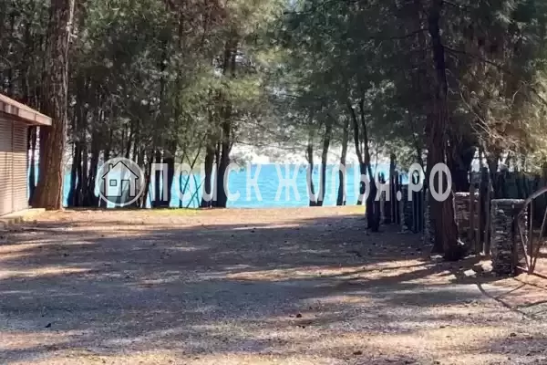 Апартаменты «В Пицунде» Апартаменты «В Пицунде»