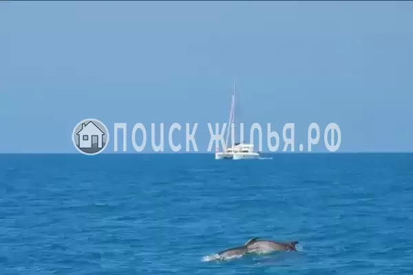 Дом под ключ «С бассейном»