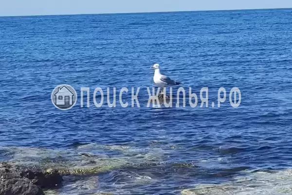 Апартаменты «На Челнокова»