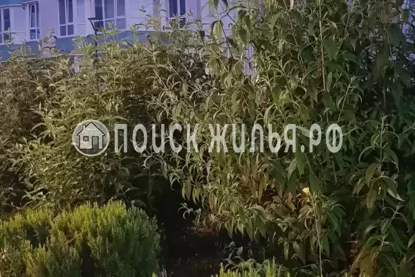 Апартаменты «На Челнокова»