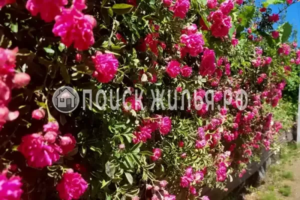 Частный сектор «Жилой дом на Шаумяна» Частный сектор «Жилой дом на Шаумяна»