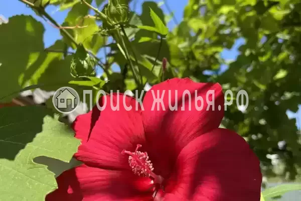 Частный сектор «Уютный домик у моря» Частный сектор «Уютный домик у моря»