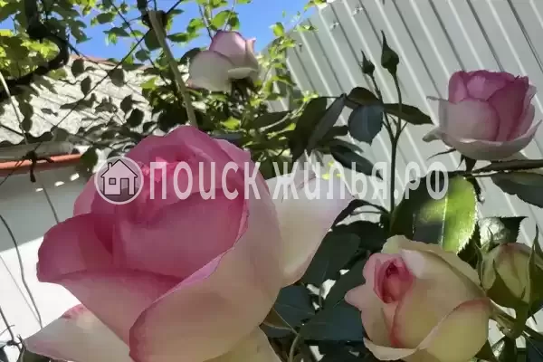 Частный сектор «Уютный домик у моря» Частный сектор «Уютный домик у моря»