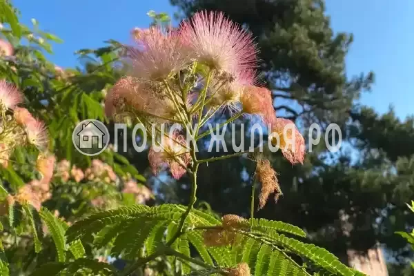 Частный сектор «Уютный домик у моря» Частный сектор «Уютный домик у моря»