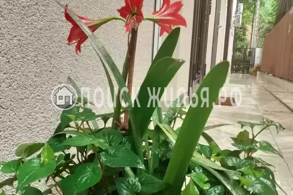 Апартаменты «У моря» Апартаменты «У моря»