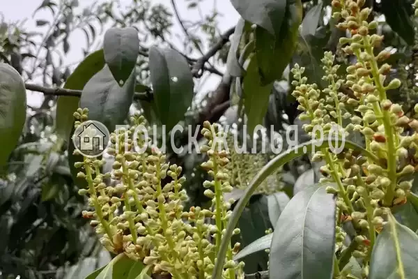 Дом под ключ «Марианна»