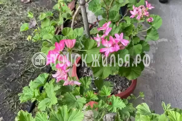 Дом под ключ «Марианна»