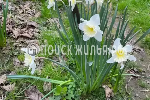 Дом под ключ «Марианна»