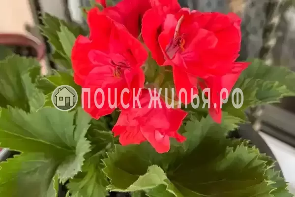 Дом под ключ «Марианна»