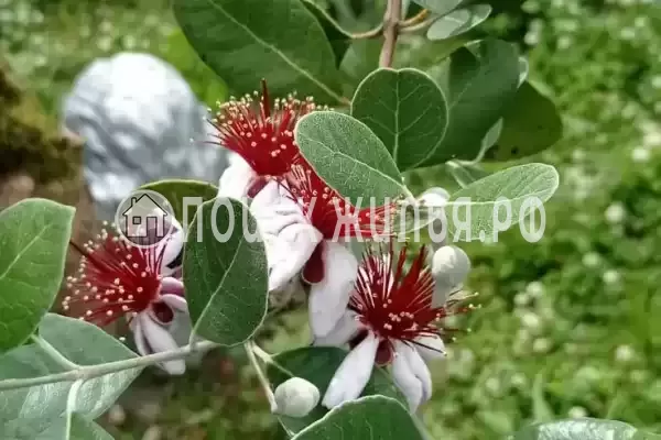 Дом под ключ «Дом под ключ» Дом под ключ «Дом под ключ»