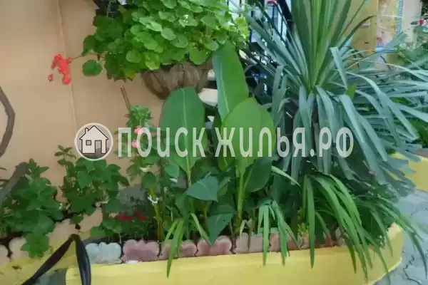 Частный сектор «Трехкомнатный коттедж на Партизанской»