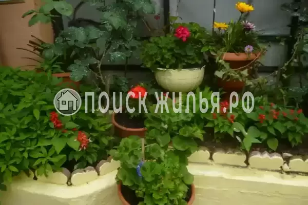 Частный сектор «Трехкомнатный коттедж на Партизанской»