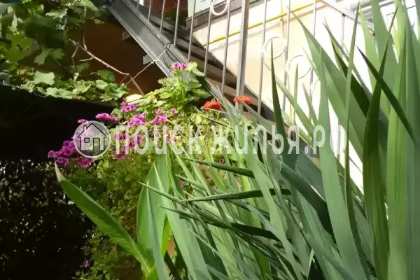 Частный сектор «Трехкомнатный коттедж на Партизанской»