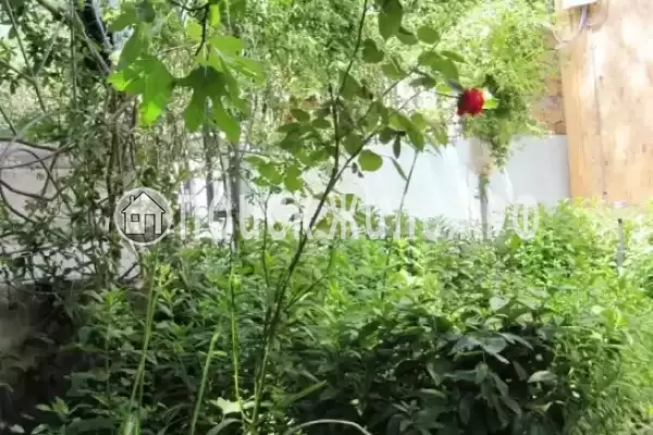 Частный сектор «Домик у моря» Частный сектор «Домик у моря»