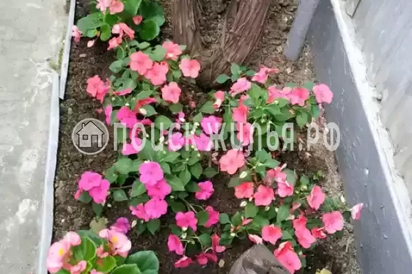 Дом под ключ «Уютный» Дом под ключ «Уютный»