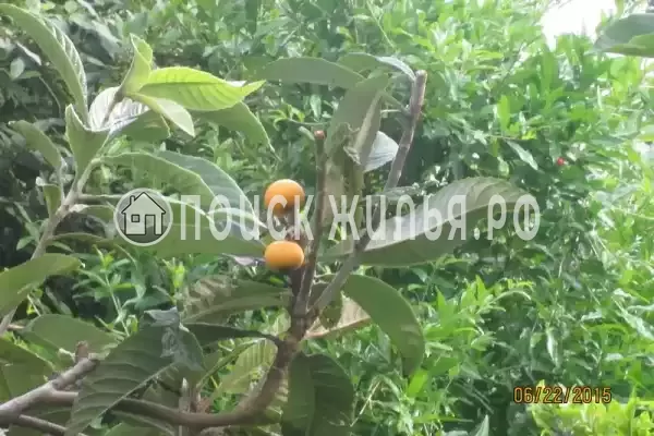 Дом под ключ «Лидия» Дом под ключ «Лидия»