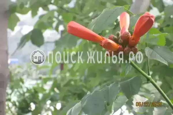 Дом под ключ «Лидия» Дом под ключ «Лидия»