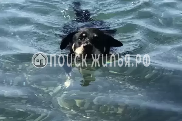 Квартира «Сан Марино» Квартира «Сан Марино»