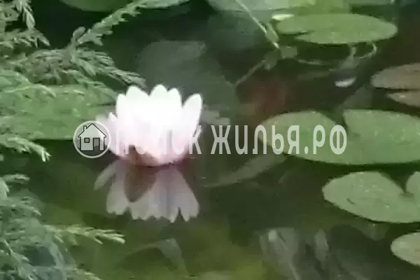 Дом под ключ «Сосновый бор»