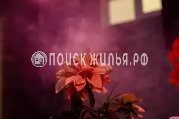 Дом под ключ «Регина» Дом под ключ «Регина»