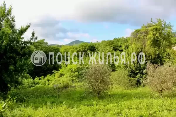 Частный сектор «Коттедж Калиновка» Частный сектор «Коттедж Калиновка»